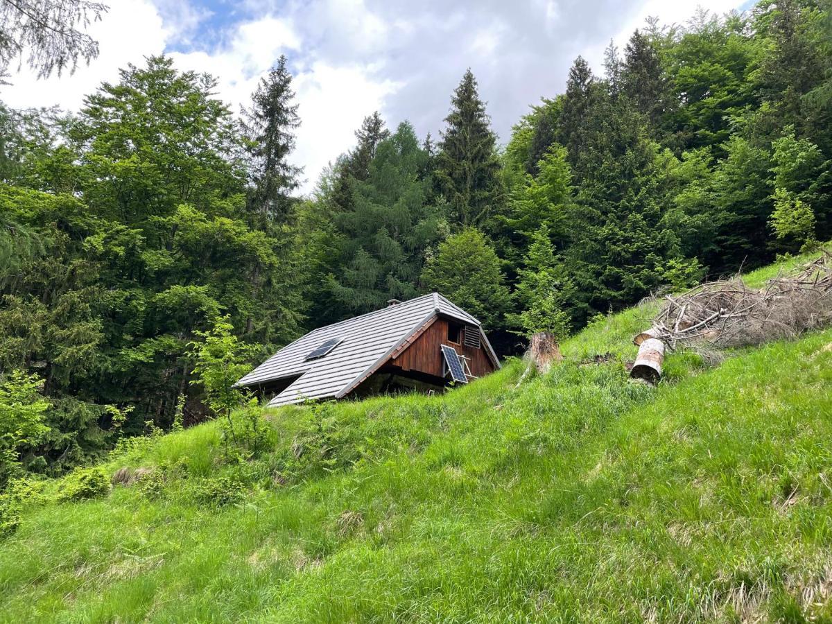 Architect'S Cottage - Serenity And Greenery In The Highlands Soča Exteriör bild